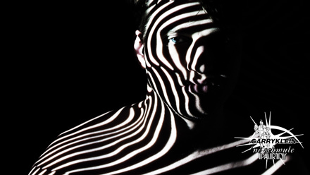 LEON HALLER